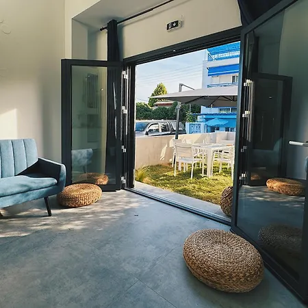 Zoha فيلة توروني