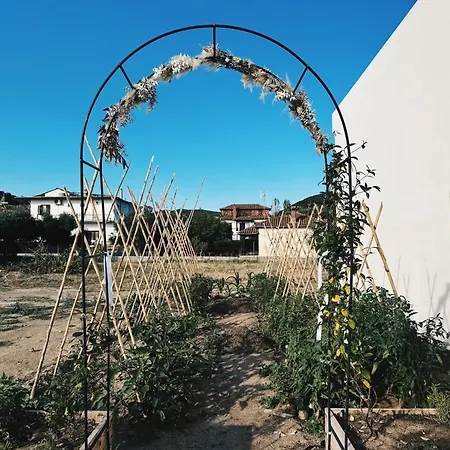 Βίλα Zoha