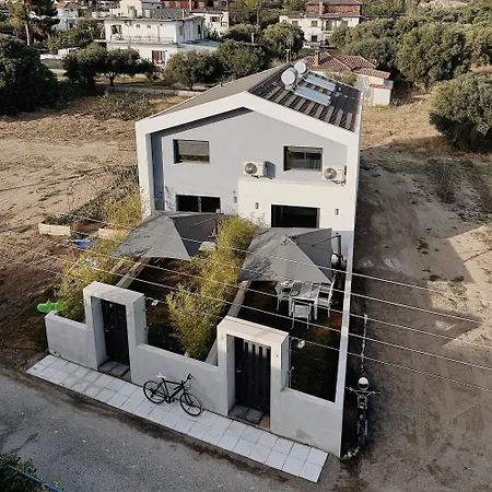 Zoha Toroni